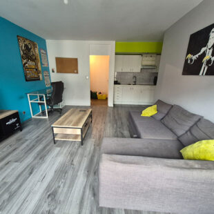 LILLE NATIONALE – MEUREIN T2 avec cave et parking