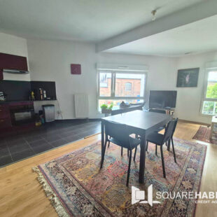 Appartement Lille 3 pièce(s) 68 m2 proche métro et centre hellemmes