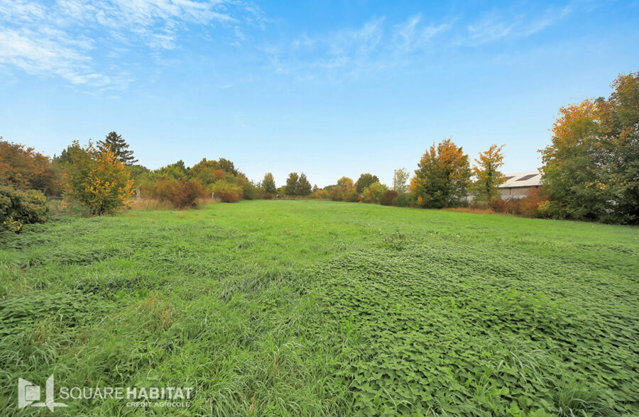 Maison, terrain constructible et divisible 4 800m²
