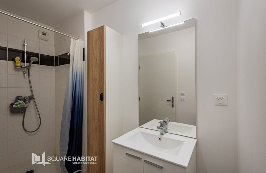 LILLE MOULINS : JOLI T4 DE 88M² AVEC EXTERIEUR ET PARKING DANS RESIDENCE RECENTE LILLE MOULINS : JOLI T4 DE 88M² AVEC EXTERIEUR ET PARKING DANS RESIDENCE RECENTE