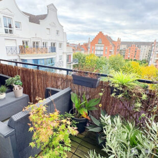 VIEUX LILLE SUPERBE TYPE 3 AVEC BALCON DANS UN ETAT REMARQUABLE VIEUX LILLE SUPERBE TYPE 3 AVEC BALCON DANS UN ETAT REMARQUABLE