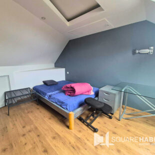 Maison Lille 6 pièce(s) 130 m2 avec garage