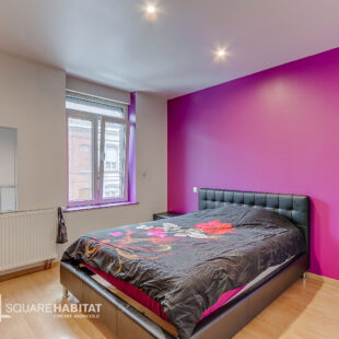 Charmante maison à la limite de Croix entièrement rénovée Charmante maison à la limite de Croix entièrement rénovée