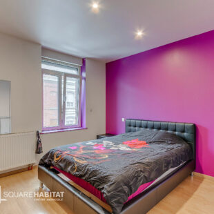 Charmante maison à la limite de Croix entièrement rénovée