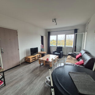 Appartement T3 lumineux avec terrasse et cave 51 m2