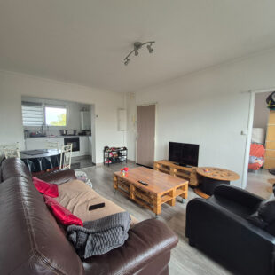 Appartement T3 lumineux avec terrasse et cave 51 m2