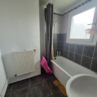 Appartement T3 lumineux avec terrasse et cave 51 m2