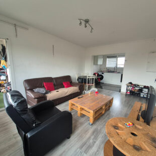 Appartement T3 lumineux avec terrasse et cave 51 m2