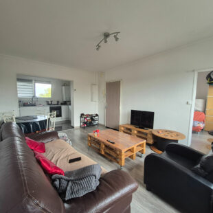 Appartement T3 lumineux avec terrasse et cave 51 m2