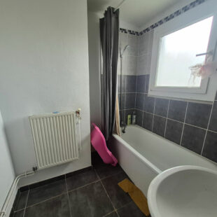 Appartement T3 lumineux avec terrasse et cave 51 m2