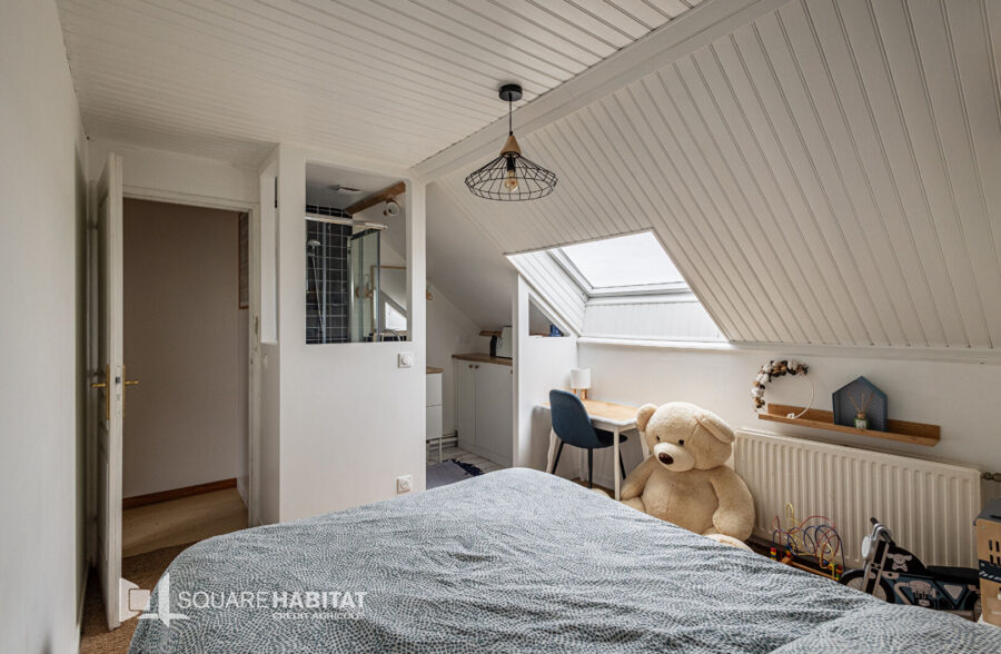 Maison Saint Andre Lez Lille, 4 chambres, 2 salles de bains, 2 toilettes, grande terrasse, buanderie, grand garage , 1 parking et dépendances.