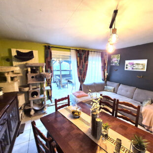 Maison Sin Le Noble 5 pièce(s) 87 m2