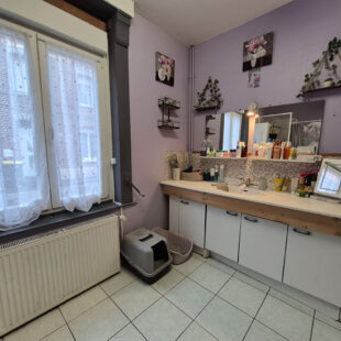 Maison Sin Le Noble 5 pièce(s) 87 m2