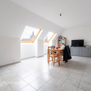 Appartement Douai 2 pièce 42 m2