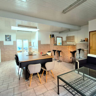 INVESTISSEMENT LOCATIF MAISON 1 CHAMBRE AVEC TERRASSE