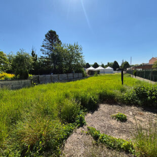 Maison Lumbres 110 m2