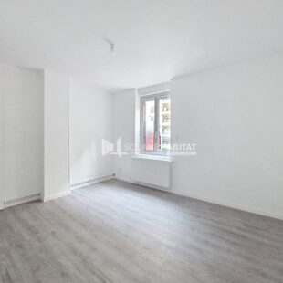 MAISON REFAITE A NEUF 4 CHAMBRES ET EXTERIEUR