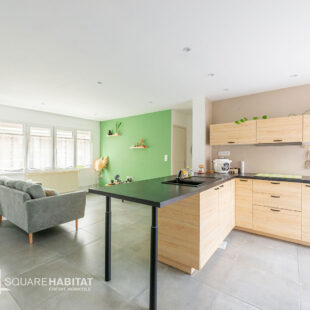 Condé sur l’ Escaut plain-pied