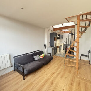 Appartement T2 en duplex avec extérieur – Parc JB Lebas, Lille