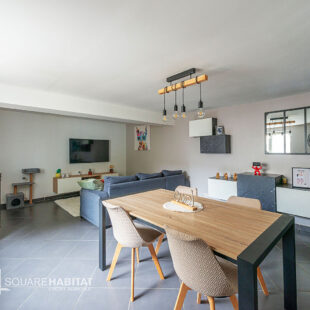 Maison Flines Lez Raches