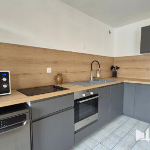 Appartement T3 LILLE SAINT-MAUR