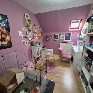 Maison individuelle jardin garage à Drocourt