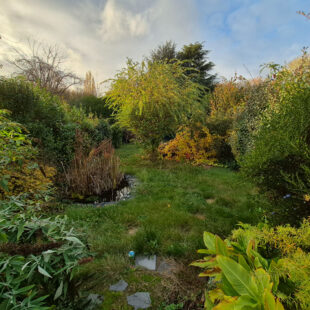 Maison individuelle jardin garage à Drocourt