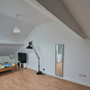 NOUVEAUTÉ EXCLUSIVE : CHARME & MODERNITÉ à Anzin !