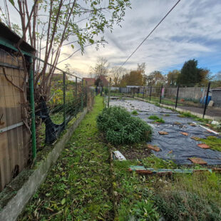 Maison Roeulx 6 pièce(s)