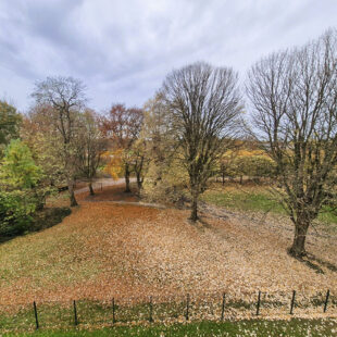 Halluin secteur prisé, Appartement 86m², deux chambres, terrasse, garage  et stationnement