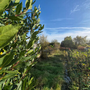 Maison familiale  trois chambres