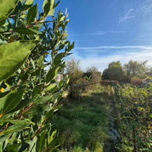 Maison familiale  trois chambres jardin