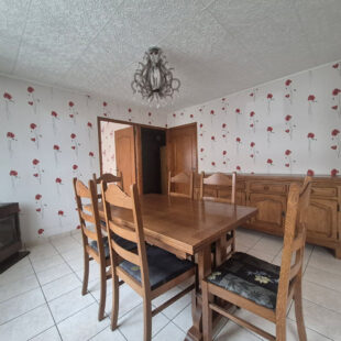 Maison Hellemmes-lille – jardin – Garage