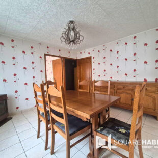 Maison Hellemmes-lille – jardin – Garage