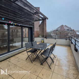 VIEUX LILLE- Appartement de 57 m2  avec une terrasse de 27 m2 BOX et CAVE