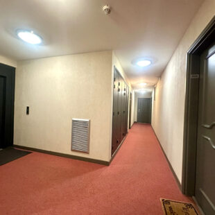 Appartement Wasquehal