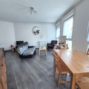 Appartement Somain 2 pièce(s) 49.08 m2