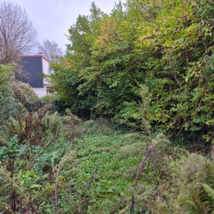 Maison de ville à rénovée