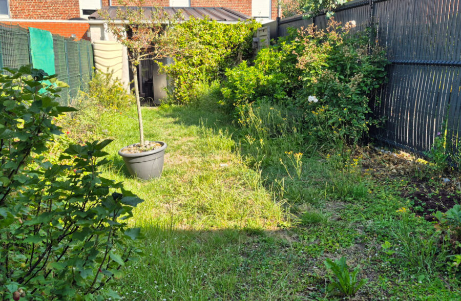 Maison type 1930 à Bailleul
