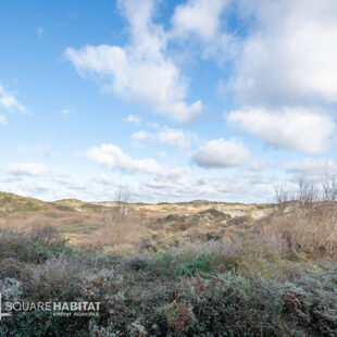 “Superbe T2 lumineux avec balcon et vue sur les dunes”