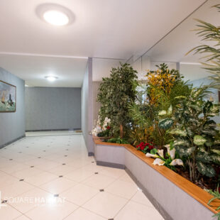 Appartement Cucq 3 pièce(s) 52 m2