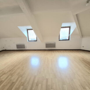 Maison de caractère en Semi-plain-pied