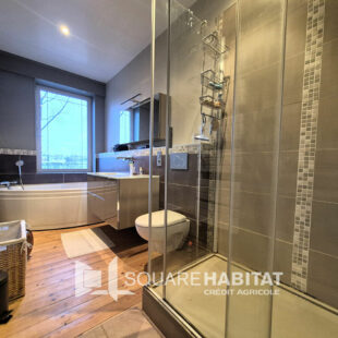 Maison 4 chambres Petite-Synthe