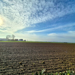 Maison de semi plain-pied – 4 chambres – campagne des Weppes