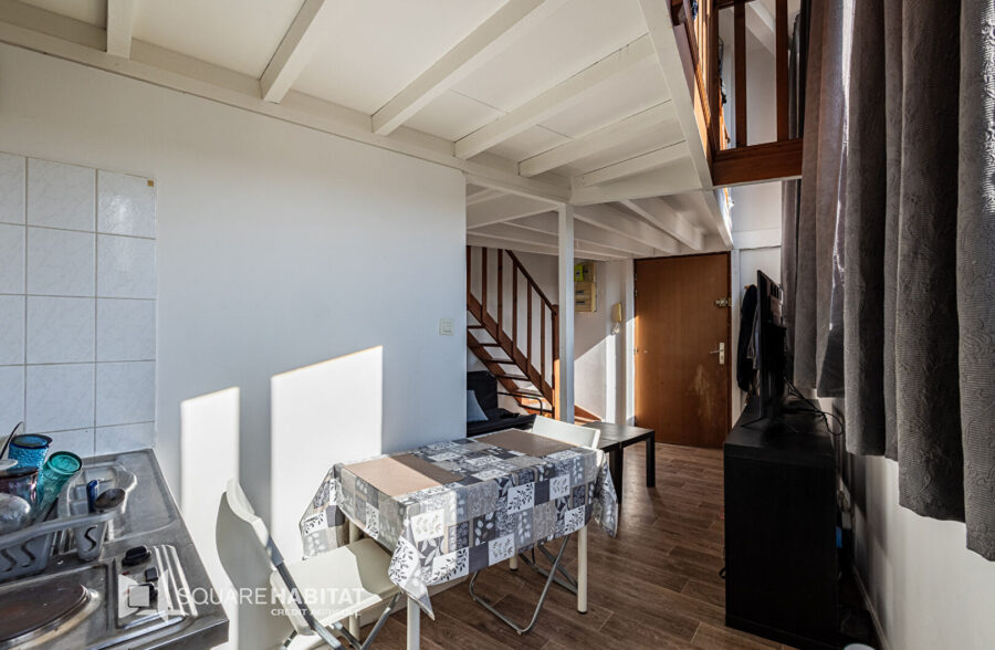 LILLE SAINT-MICHEL-WAZEMMES : TI BIS AVEC CAVE ET PLACE DE PARKING PRIVATIVE