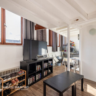 LILLE SAINT-MICHEL-WAZEMMES : TI BIS AVEC CAVE ET PLACE DE PARKING PRIVATIVE