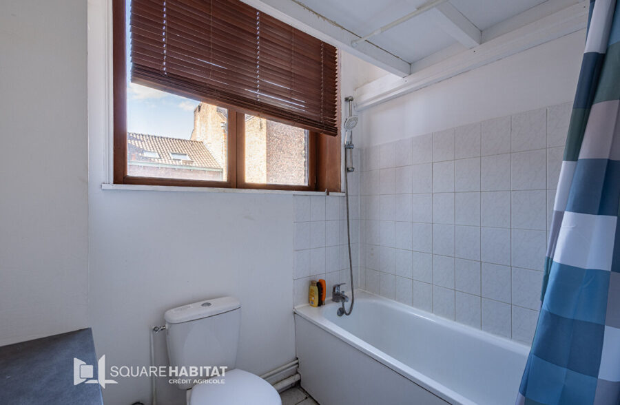 LILLE SAINT-MICHEL-WAZEMMES : TI BIS AVEC CAVE ET PLACE DE PARKING PRIVATIVE