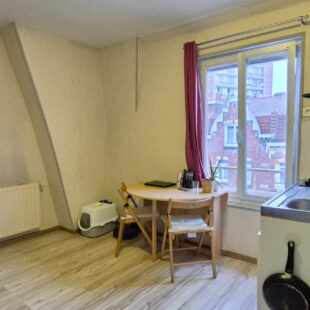 immeuble  de rapport ou maison à usage d’habitation