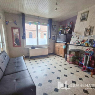 Maison Hellemmes-lille Jardin