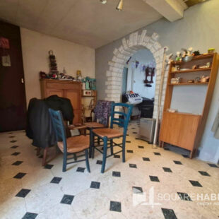 Maison Hellemmes-lille Jardin